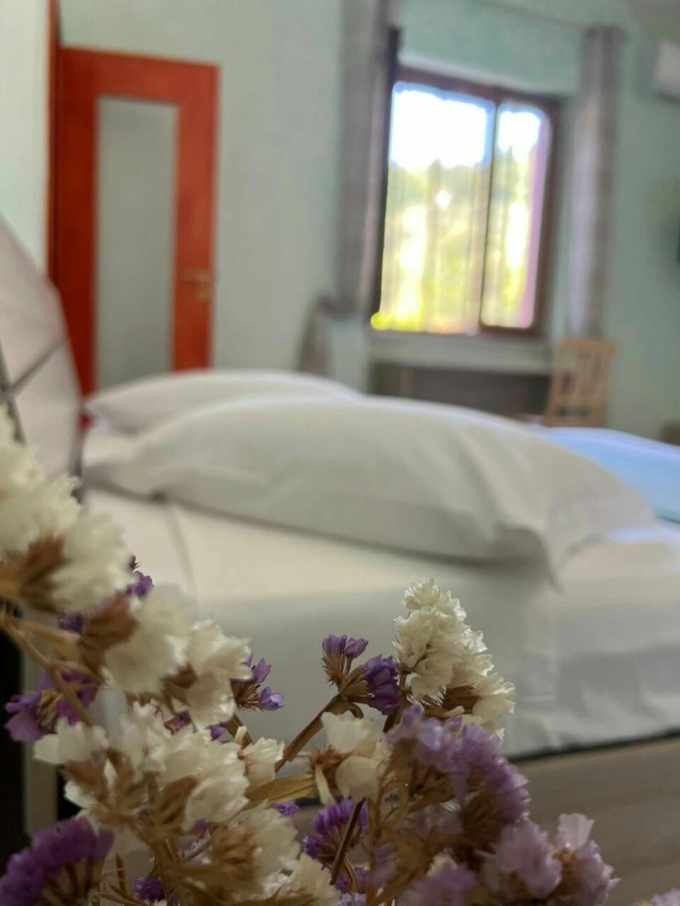 B&B Donnamaria Pimonte Bagian luar foto